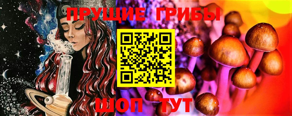 Галлюциногенные грибы GOLDEN TEACHER Михайловка