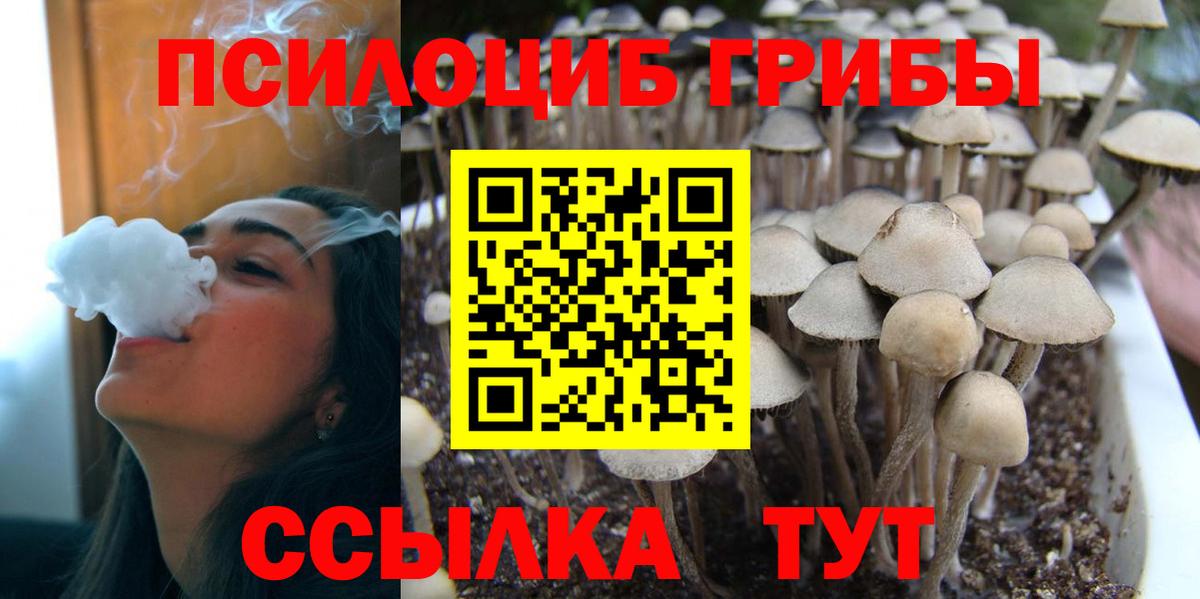 Псилоцибиновые грибы GOLDEN TEACHER  Вход с VPN  Михайловка  Галлюциногенные грибы GOLDEN TEACHER 